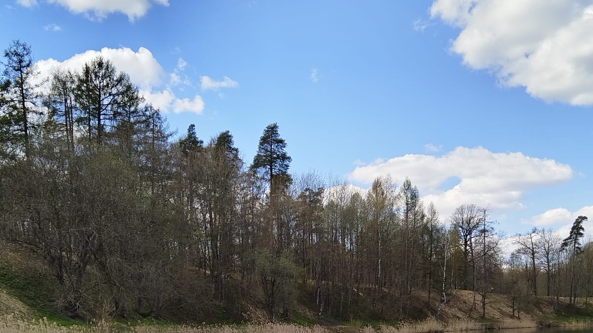 Настроение Приоратского парка